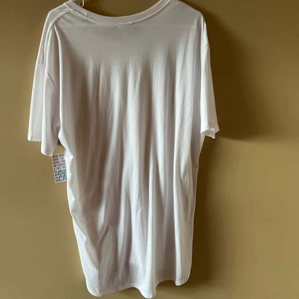 LuLaRoe Hudson shirt